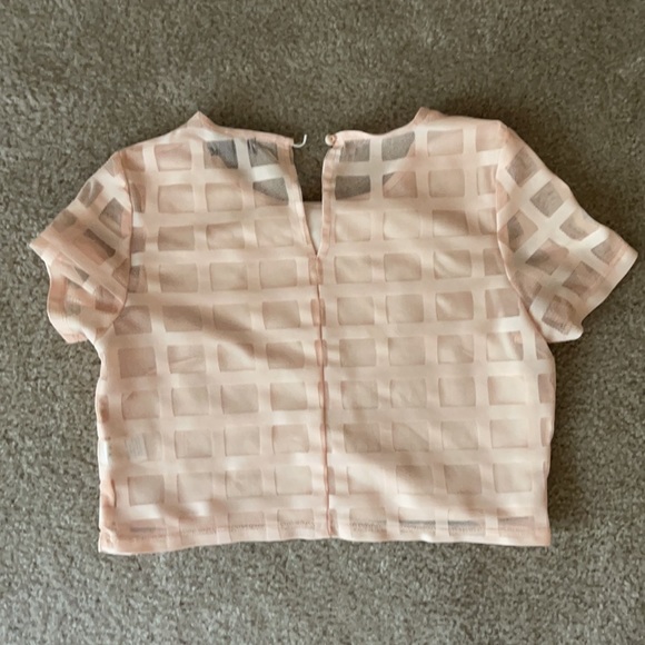 Small blush mesh crop top - Picture 2 of 2